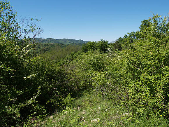 Oasi naturalistica del Carmine